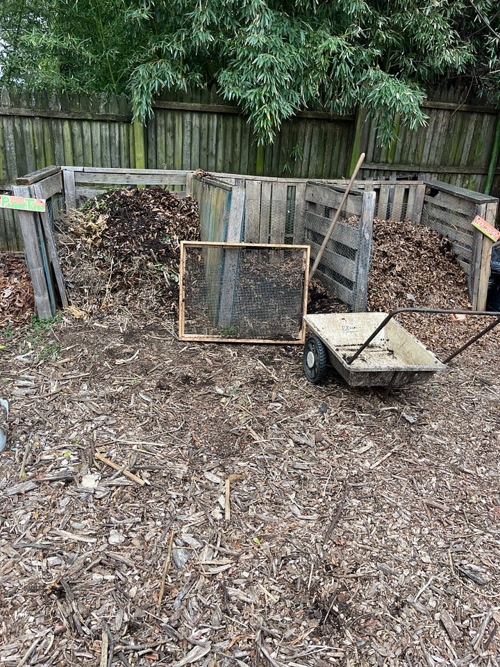 a gloved hand holds two dirt-speckled carrots. A wheelbarrow sits before a three-section compost bin. A person's shoe stands before a rectangle of black dirt. A wheelbarrow holds a pile of freshly-cut fig prunings.