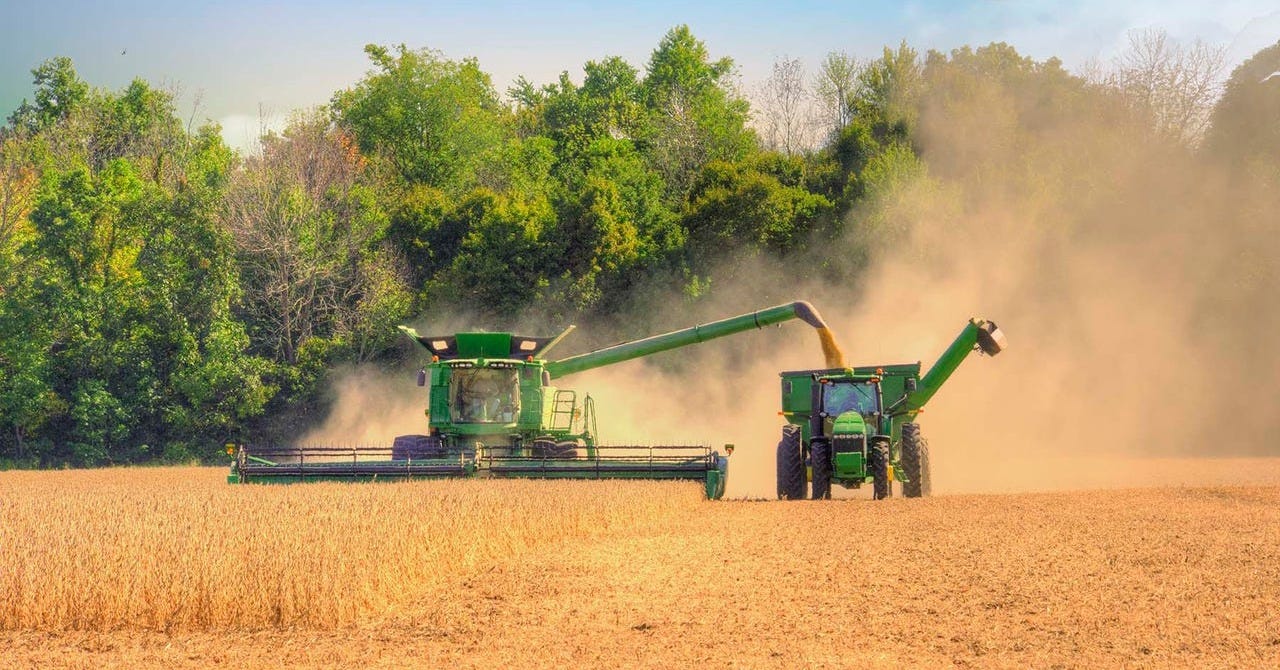 U.S. soybean farmers face crisis as China stops buying
