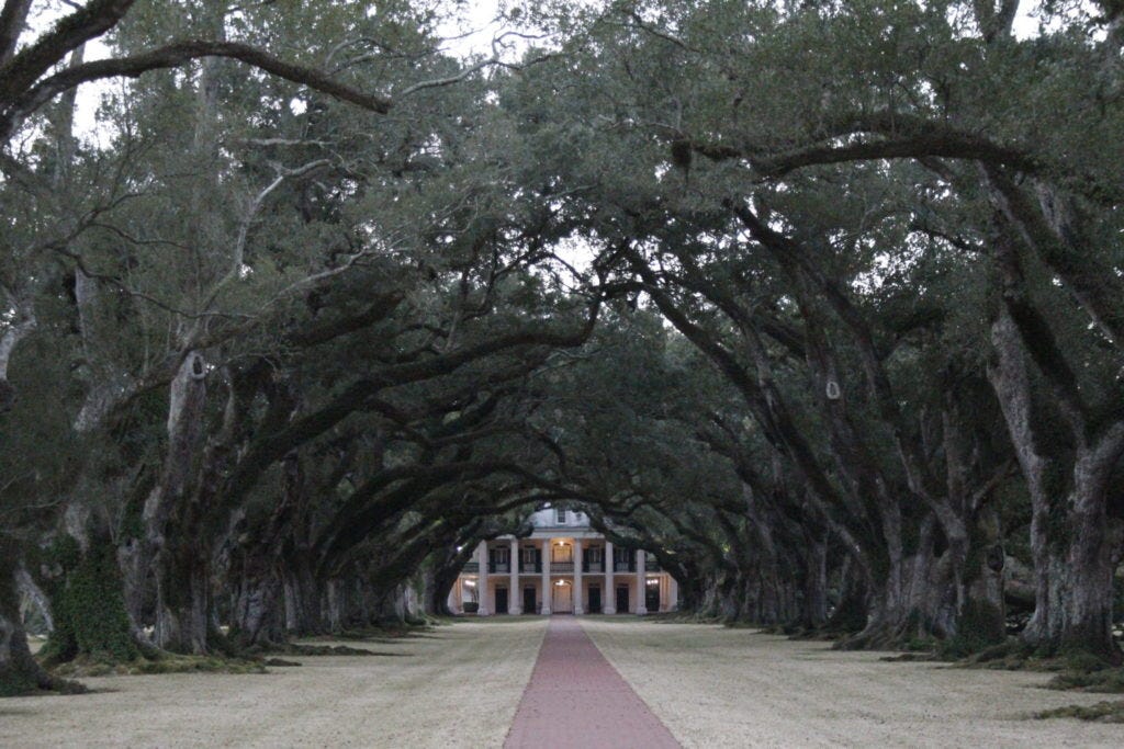 Oak Alley Plantage, Louisiana, USA, New Orleans