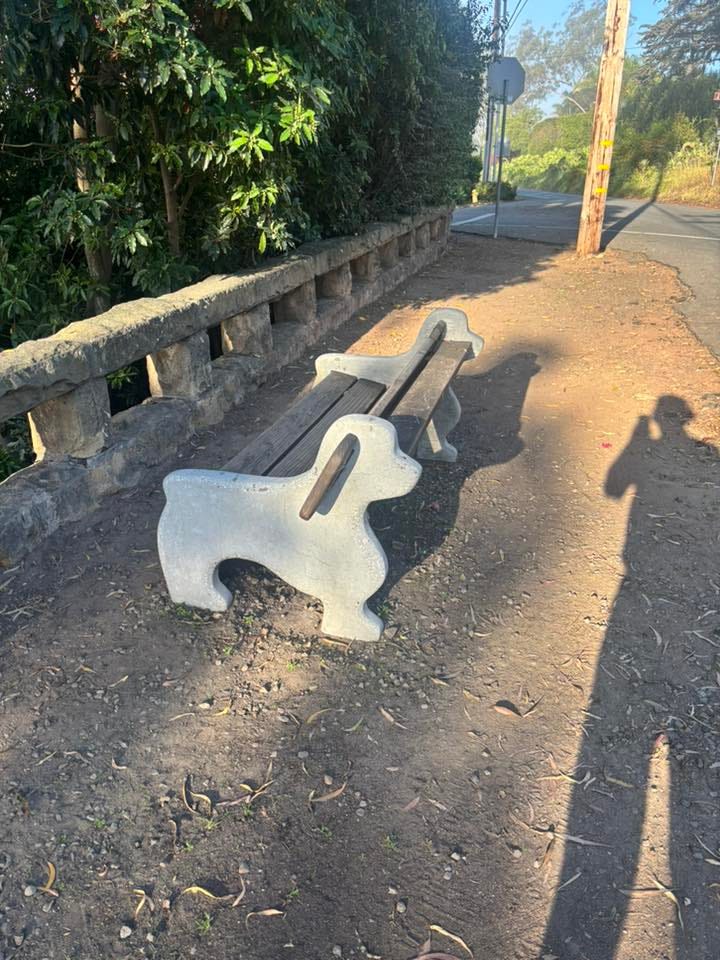 No photo description available.