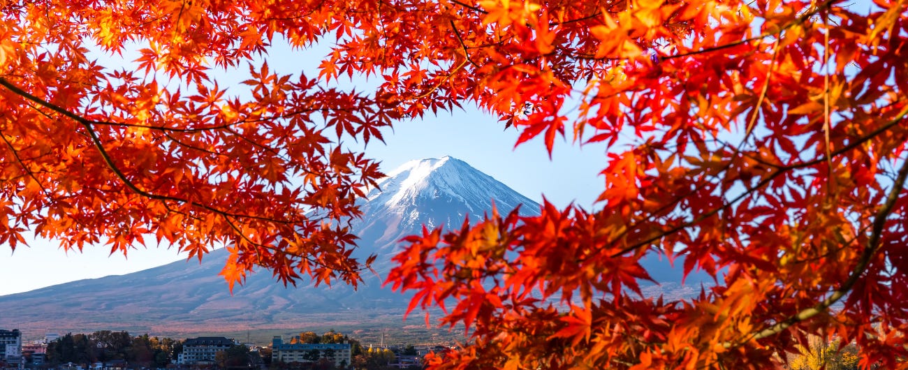 Mt Fuji with beautiful autumn leaves in the foreground. 