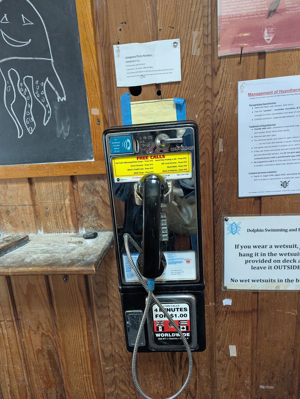 A payphone at the Dolphin Club, flanked by a blackboard and miscellaneous announcements tacked to a wooden wall