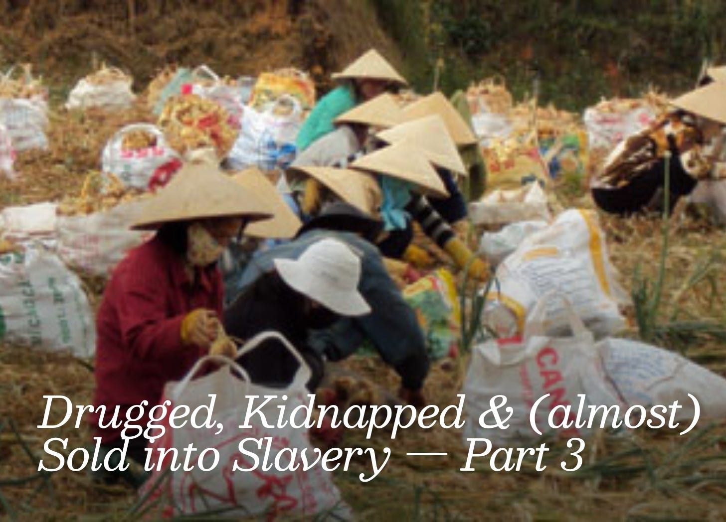 Group of Asian women wearing conical straw hats are sitting in a farmer’s field pulling up dried onions. The work looks laborious and hot. 