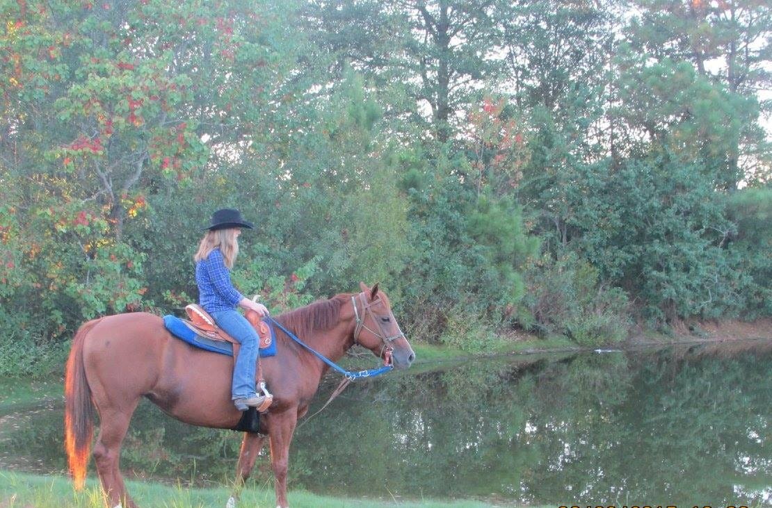 A young girl with a black hate and a blue button-down shirt sits on a horse in front on a pond. A young girl with a black hate and a blue button-down shirt sits on a horse in front on a pond.