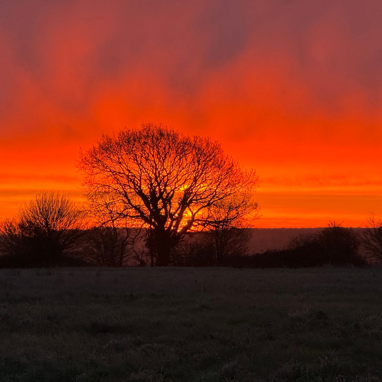 Gemma Speakman's Substack: Happy in Your Own Skin