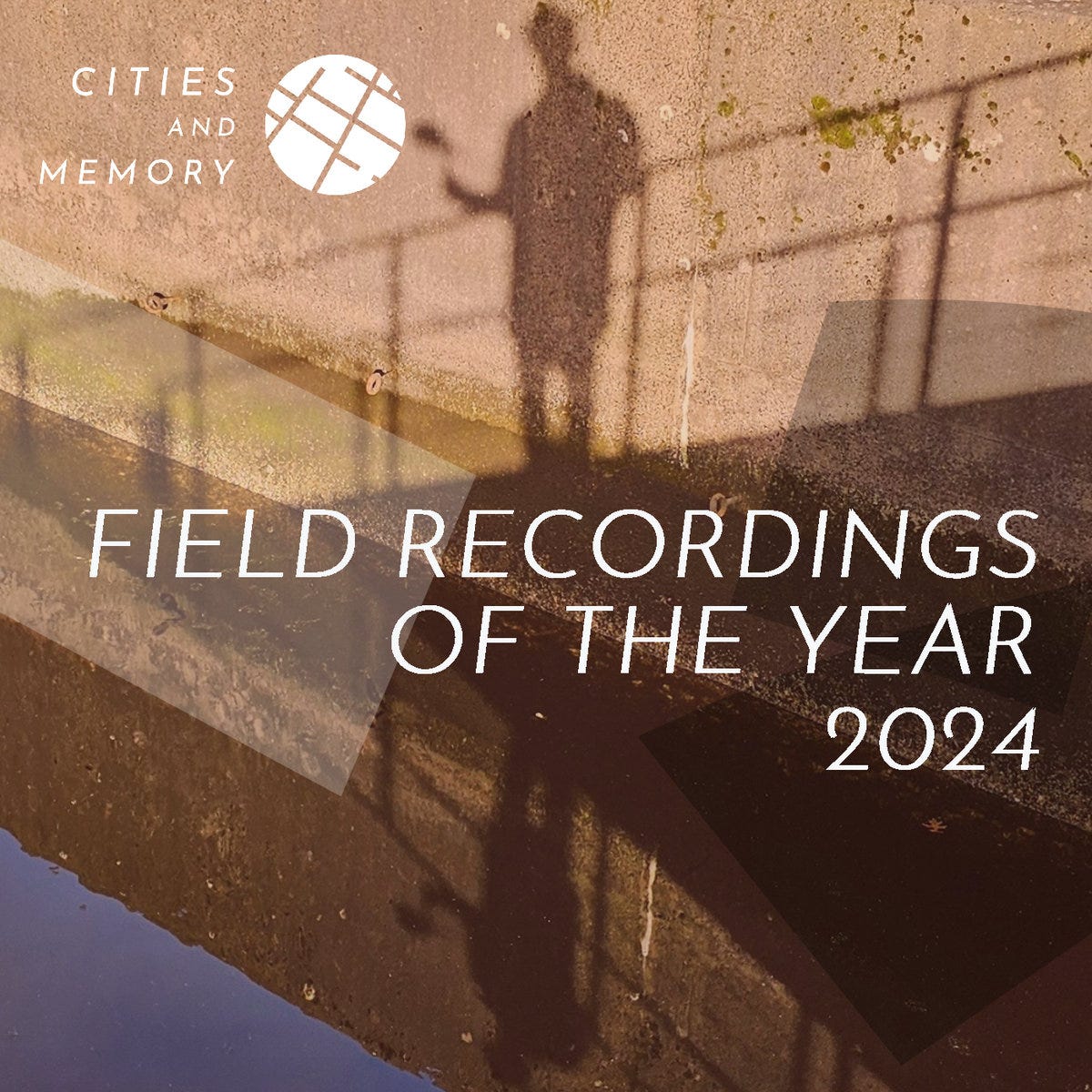 La copertina della raccolta Field Recordings 2024 La copertina della raccolta Field Recordings 2024