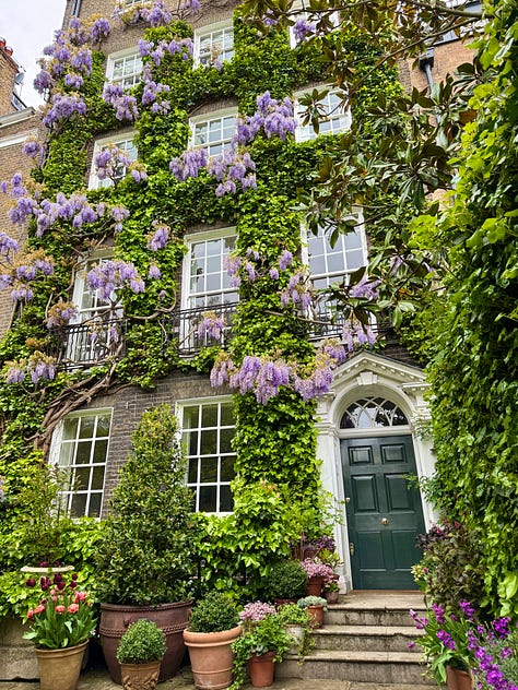 Wisteria in full bloom on buildings in London. Alicia, in her power wheelchair, drives in front of one image with wisteria behind her.