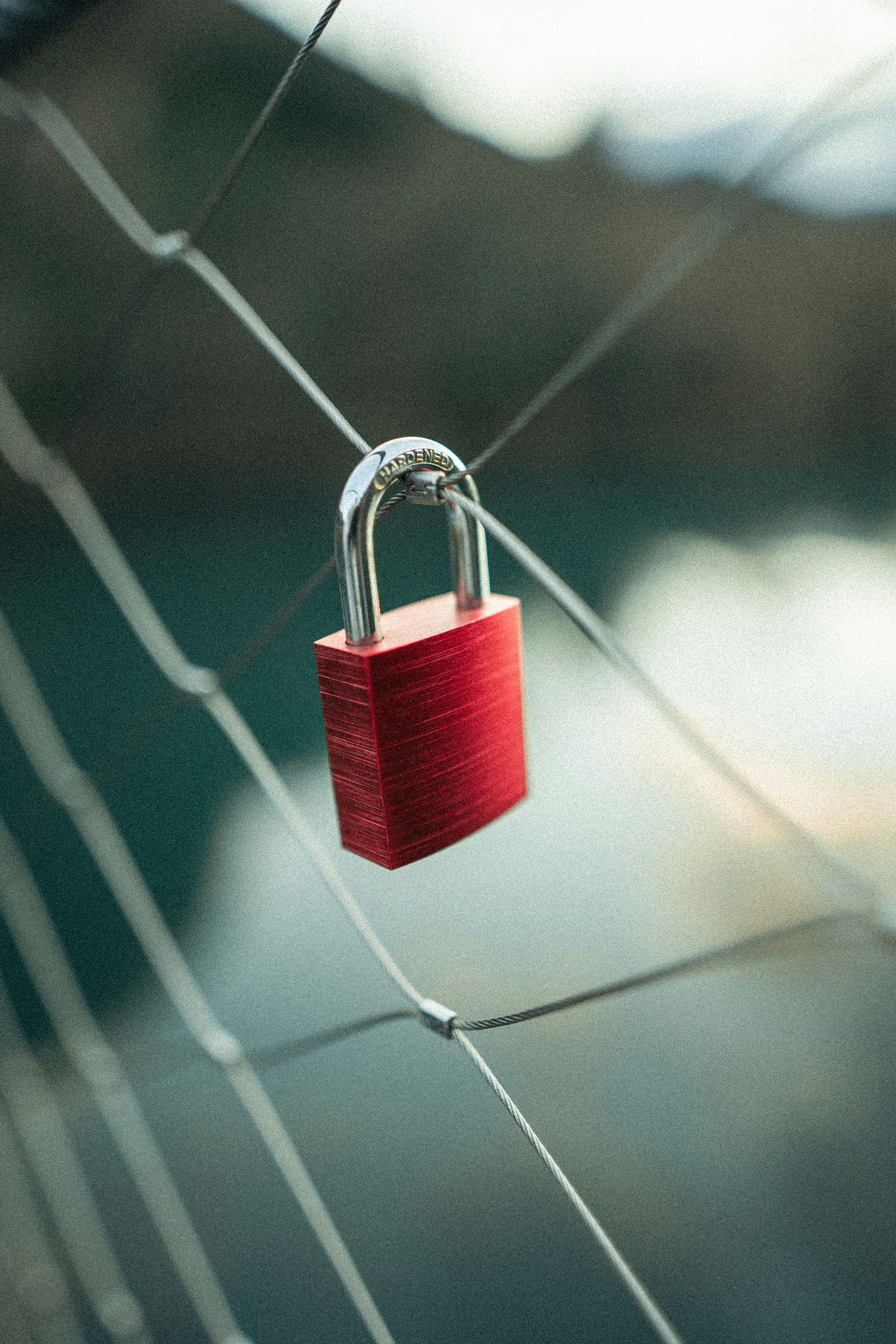 A red lock on a barbed fence.
