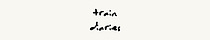 Train Diaries