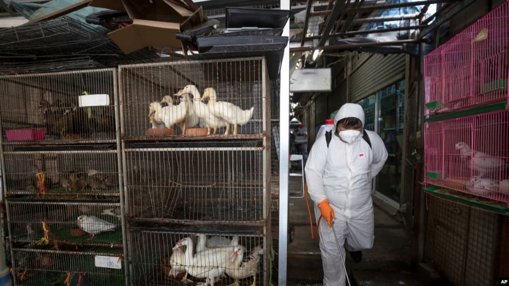 A worker sprays disinfectant as a precaution against the new coronavirus at Chatuchak Market in Bangkok, Thailand, on March 20, 2020. 
