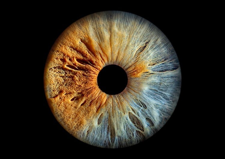 Iris photo