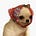 Avatar de Fernanda