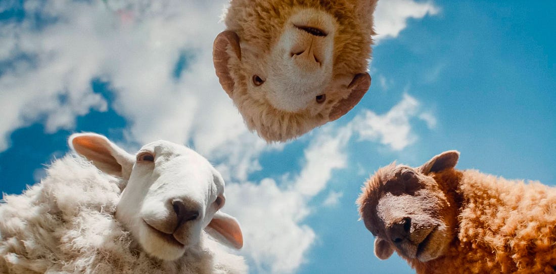 Wait, Are Kids’ Movies Good Again?