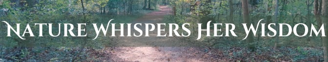 Nature Whispers Her Wisdom