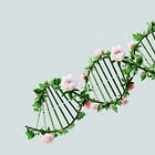 20 Things Everyone Needs to Know About Aging 