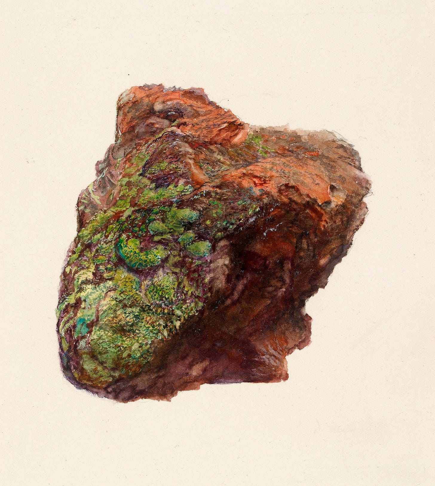 Ruskin and Lichen - The Courtauld Ruskin and Lichen - The Courtauld