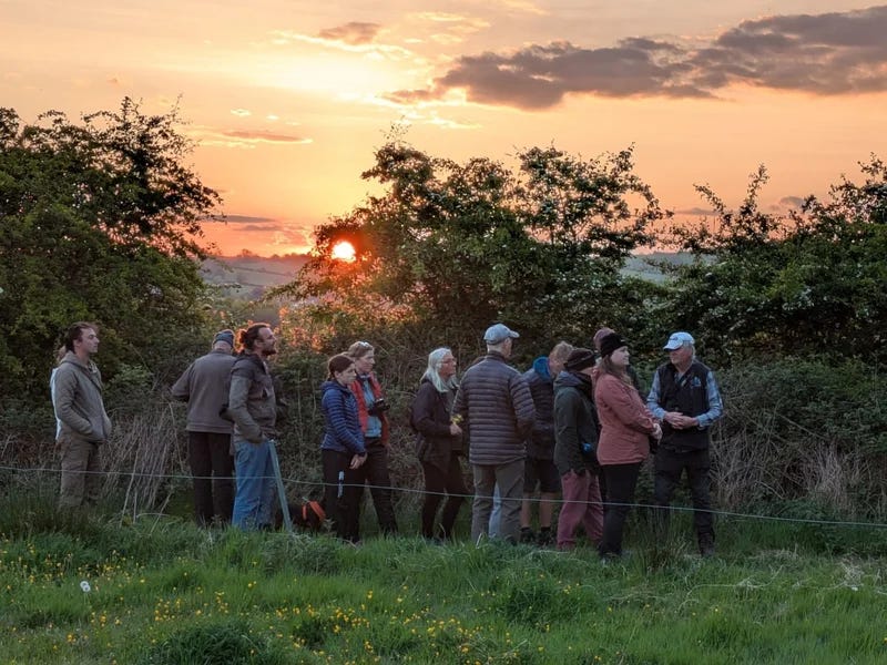 A group of people in outdoor clothing stand together in a field at sunset, gathered along a wire fence with trees and a glowing orange sky behind them.