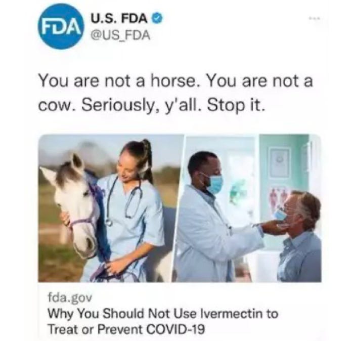image 6.png image 6.png