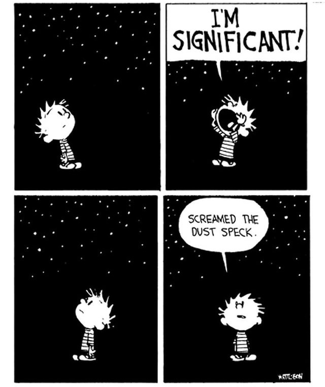 r/calvinandhobbes - 19 I'M SIGNIFICANT! SCREAMED THE DUST SPECK. WATULECH