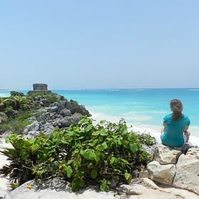 An introduction to my debut novel, The Pattern Shop! 🦋