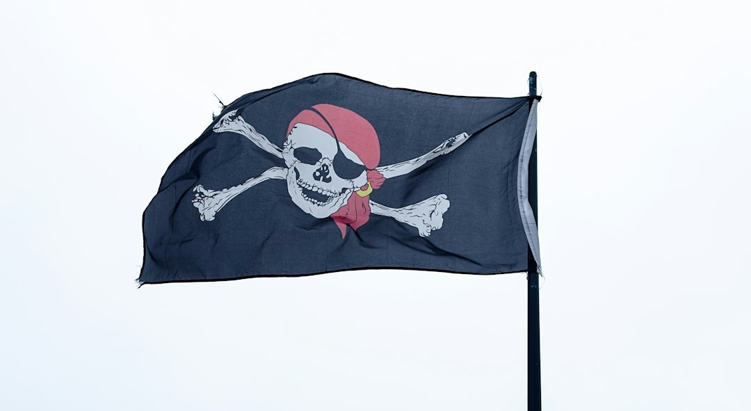 A pirate flag with a skull and crossbones on it