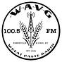 WHEAT PASTE RADIO's avatar