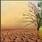 Enough With Problem Proclamations