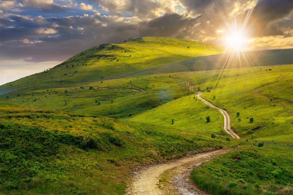 Short Path and Long Path