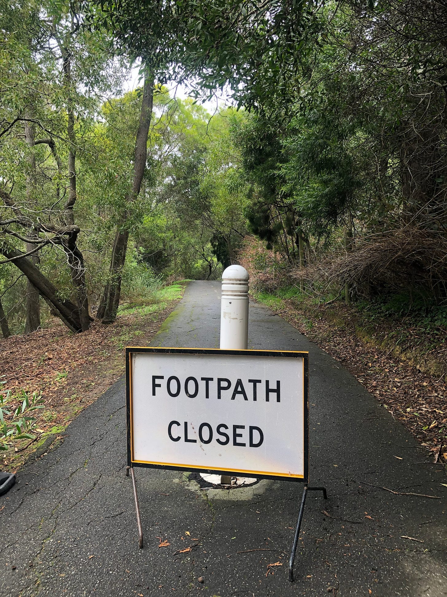 I saw the sign, and walked right past it