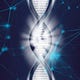BioBusiness