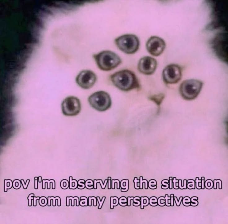 This may contain: a white cat with lots of black eyeballs on it's face that says, pov i'm observing the situation from many perspective
