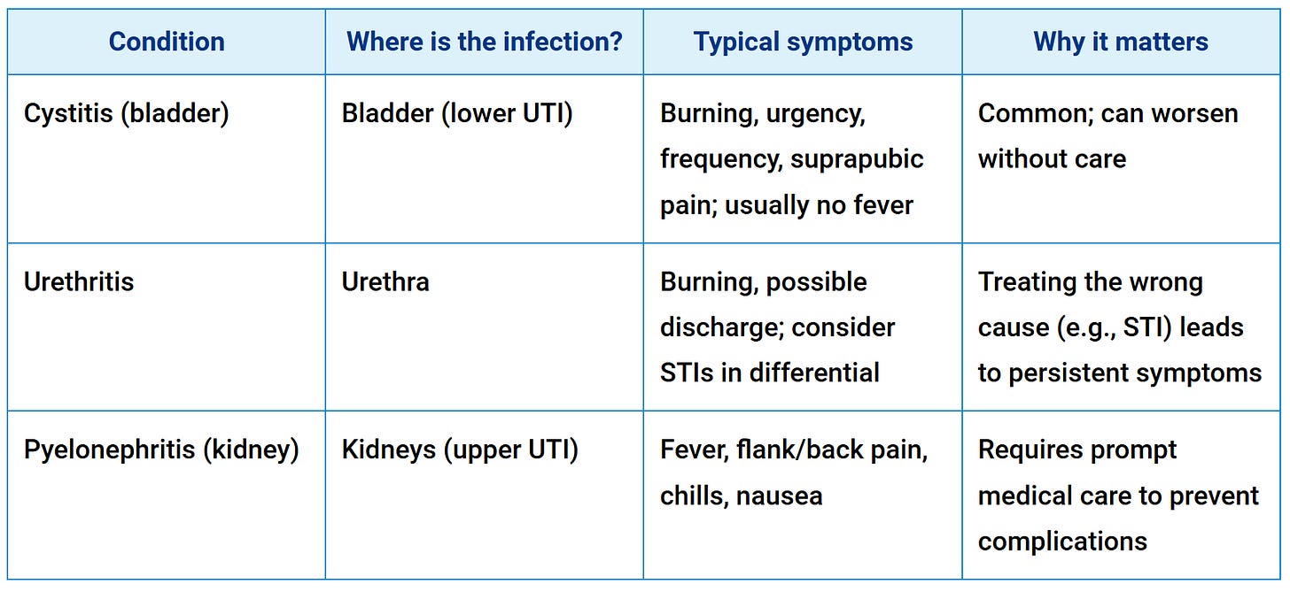 Cystitis vs. UTI - Understanding the Differences