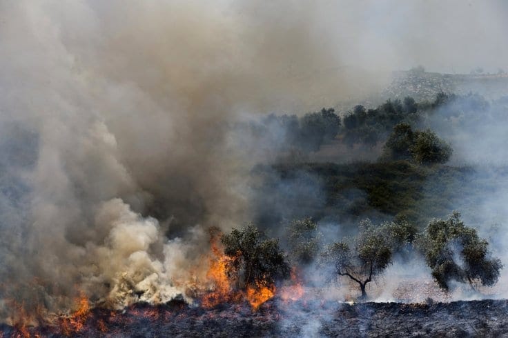 A hilly landscape with hundreds of olive trees, many of which have been set on fire, with smoke billowing above them. A hilly landscape with hundreds of olive trees, many of which have been set on fire, with smoke billowing above them.