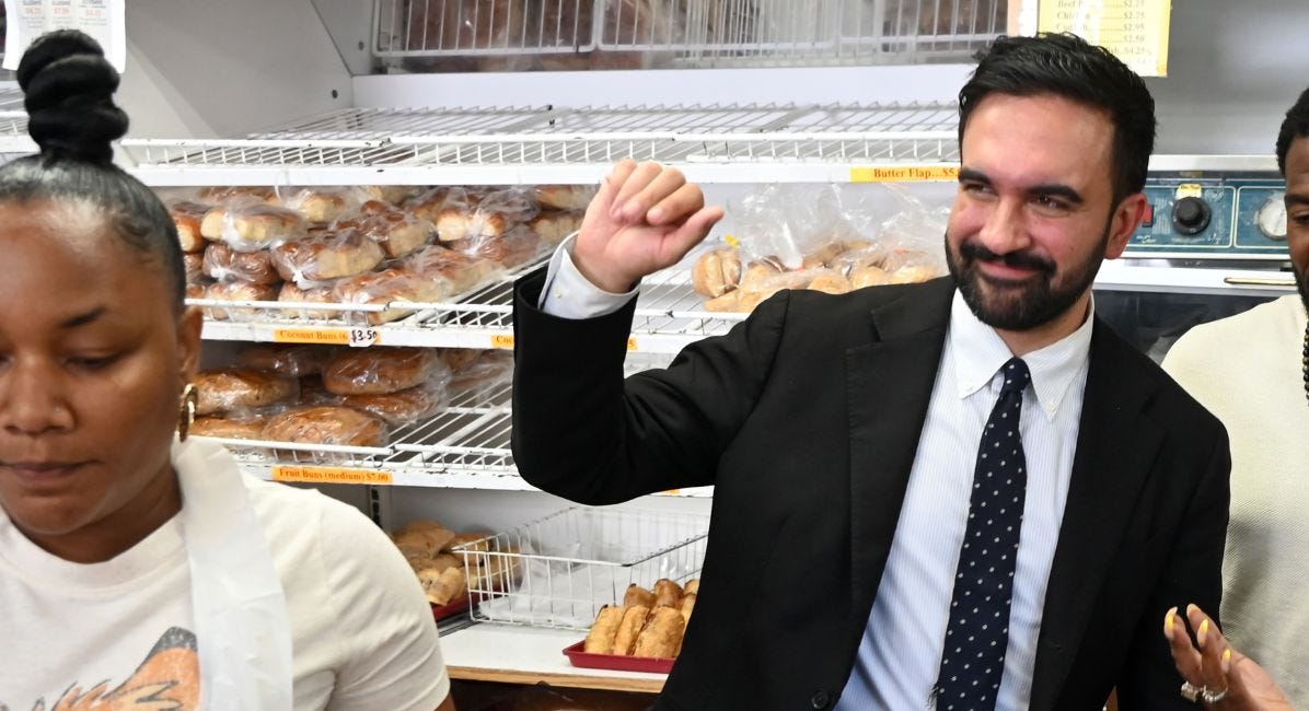 Zohran Mamdani, Democrats, and Hamsters