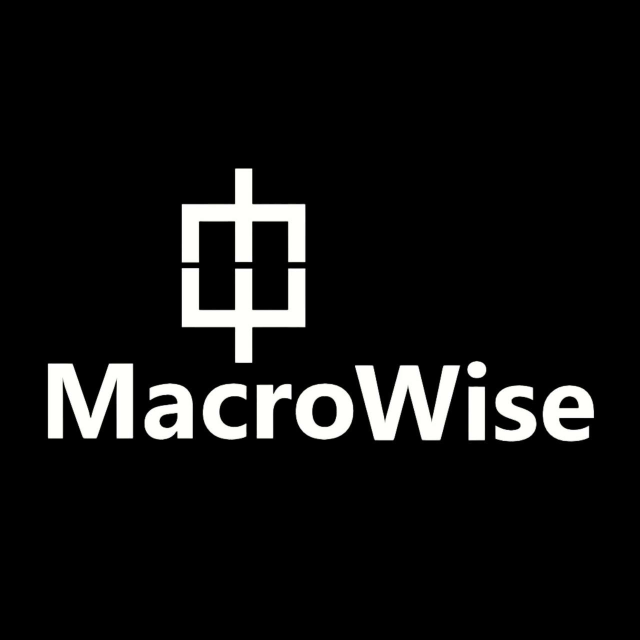 Macrowise Newsletter