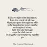 The Corpus Callosum Chronicles