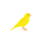 Risk of Ruin