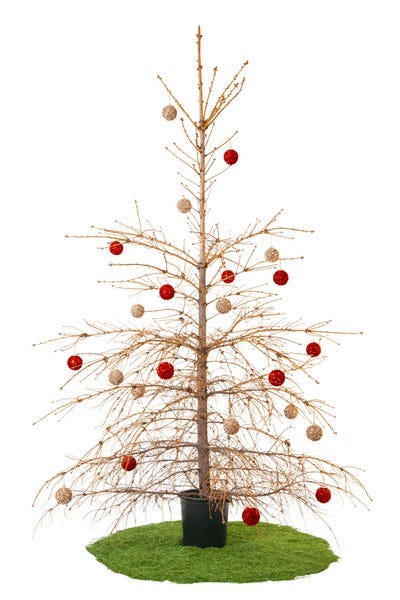10+ Thousand Bad Christmas Tree Royalty-Free Images, Stock Photos &  Pictures | Shutterstock