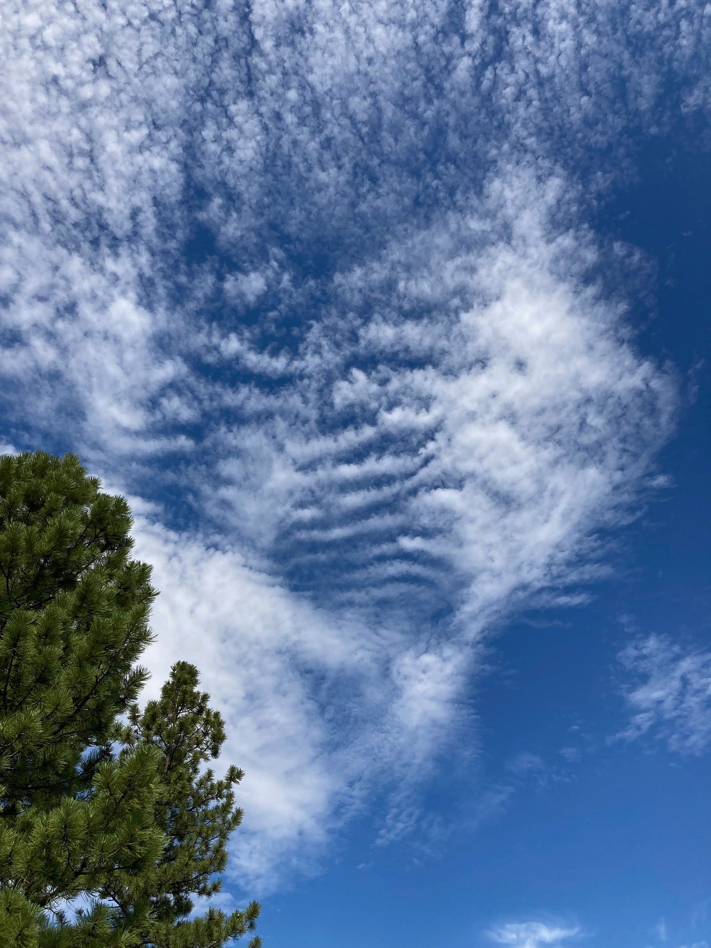 Clouds, 2022-07-15