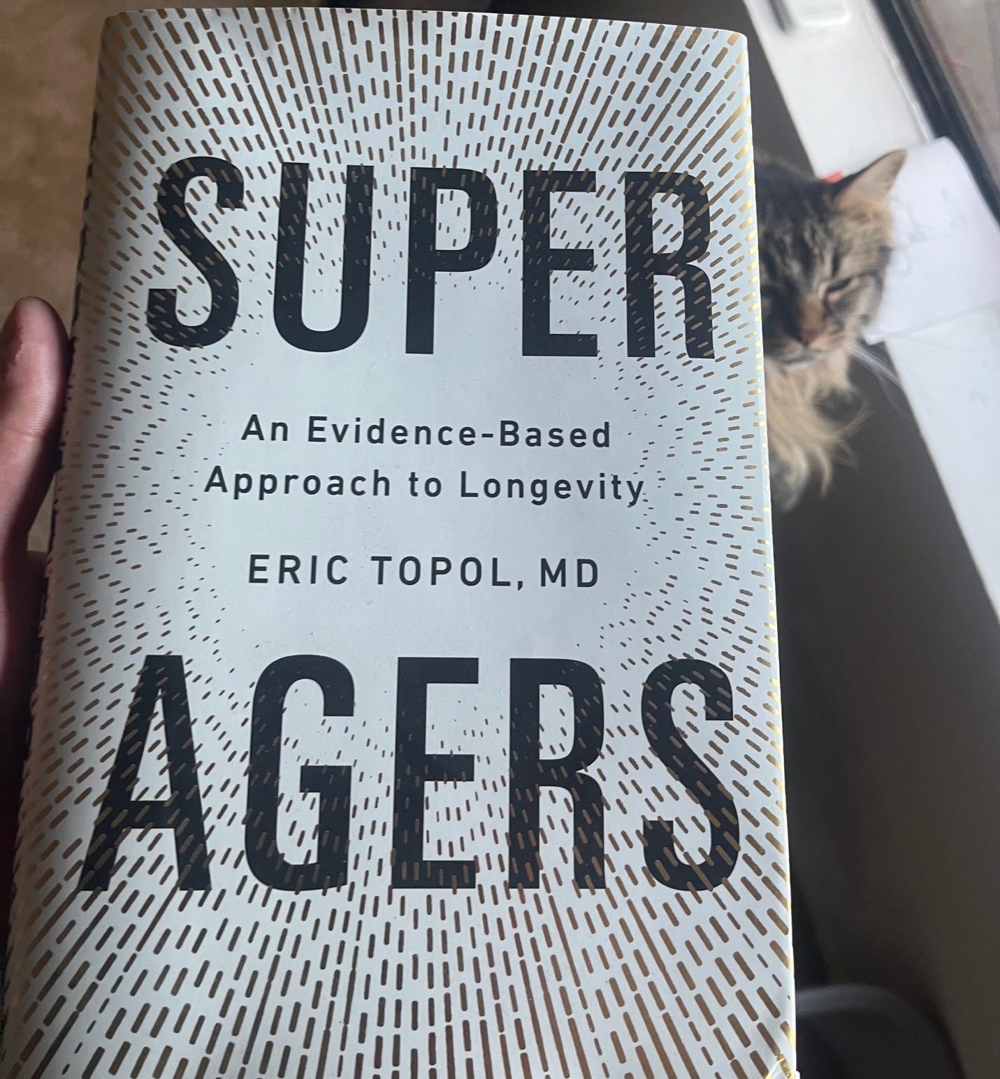 A book with a cat in the background

AI-generated content may be incorrect.