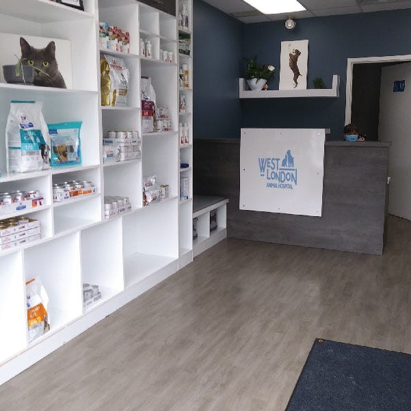 West London Pet Hospital | West London, Ontario