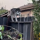 Sunday E-dition: Luz and the Neighbors She Brought Together