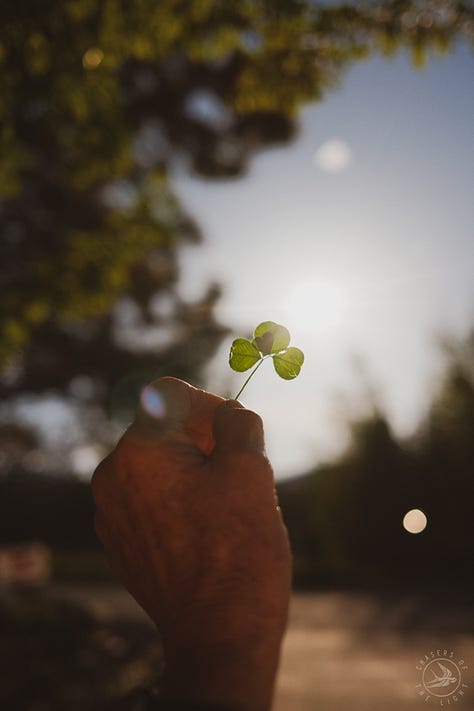 Fuji photographs of life in Montana by Tyler Knott Gregson