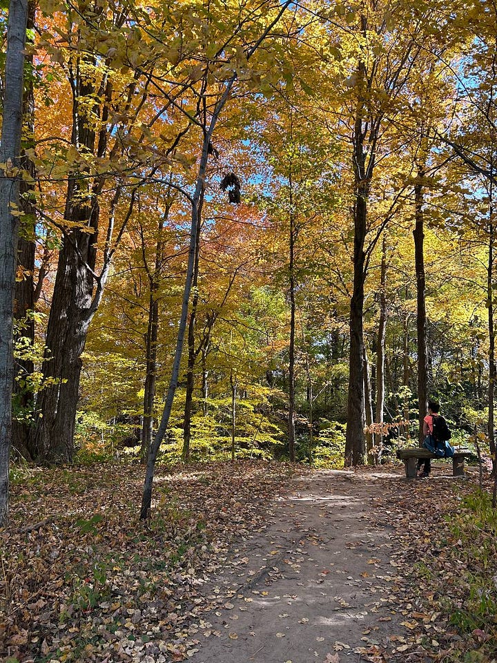 Rouge Park Toronto hike weekend