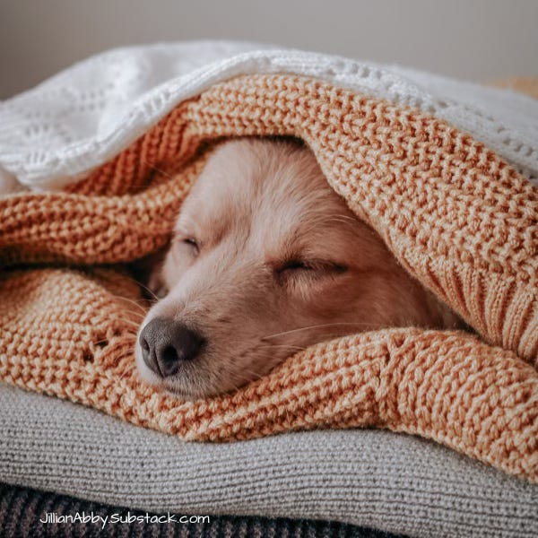 A small light-colored dog is peacefully sleeping with its eyes closed, snugly wrapped in layers of cozy knit blankets in shades of orange, gray, and white. The soft textures and warm colors evoke a sense of comfort and calm.