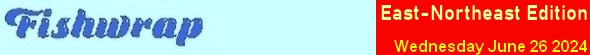 fishwraptop06.jpg