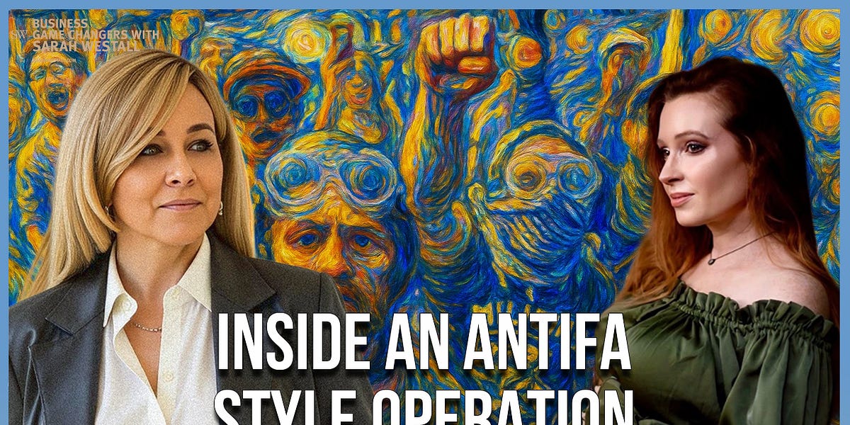Domestic Terror Operation: Death Threats, Smear Campaigns, Gang Stalking w/ Journalist Sarah Fields