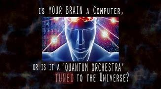 Image result for hameroff consciousness