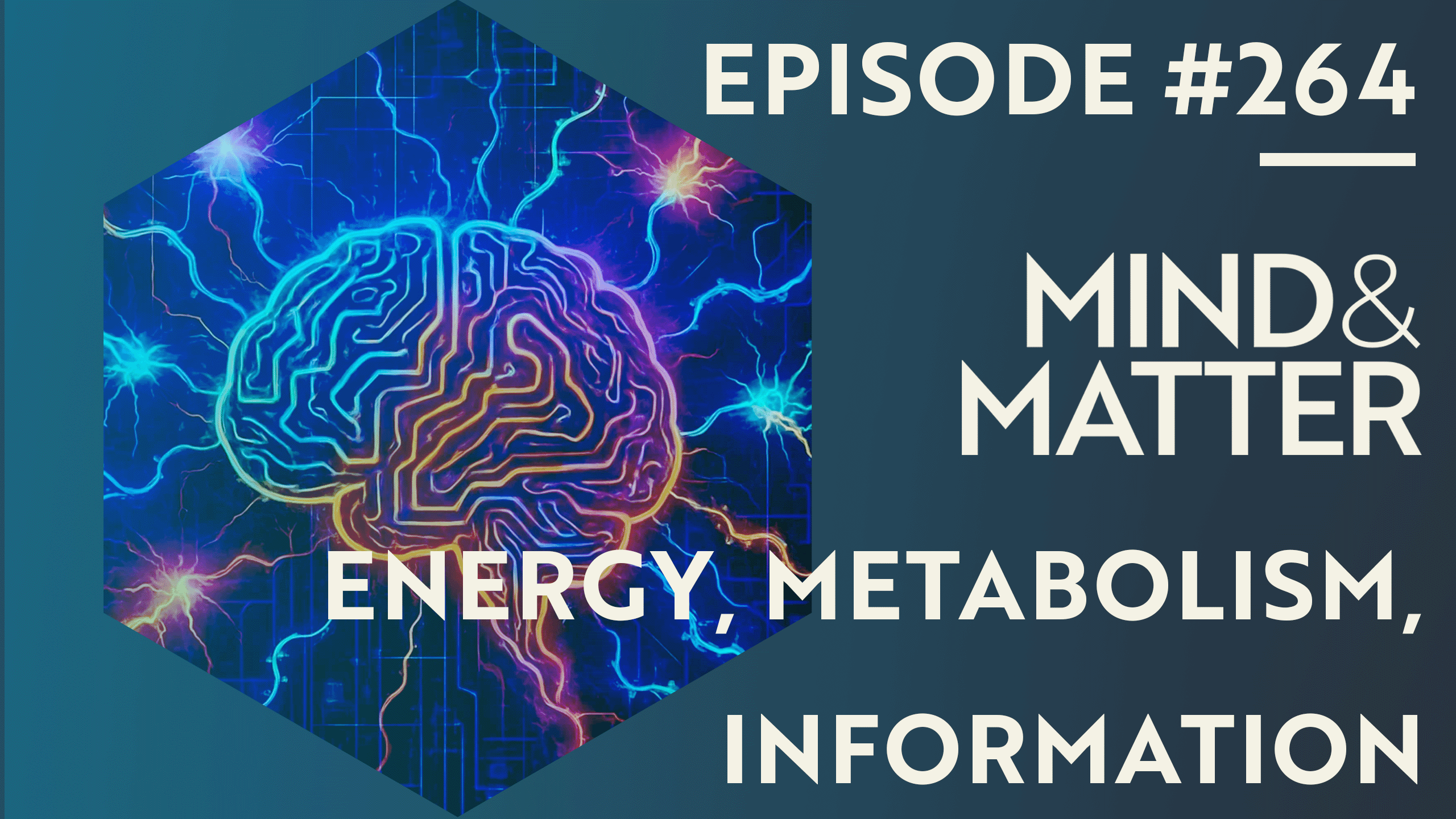 Energy Metabolism & Information Processing in the Brain | Luis Felipe ...