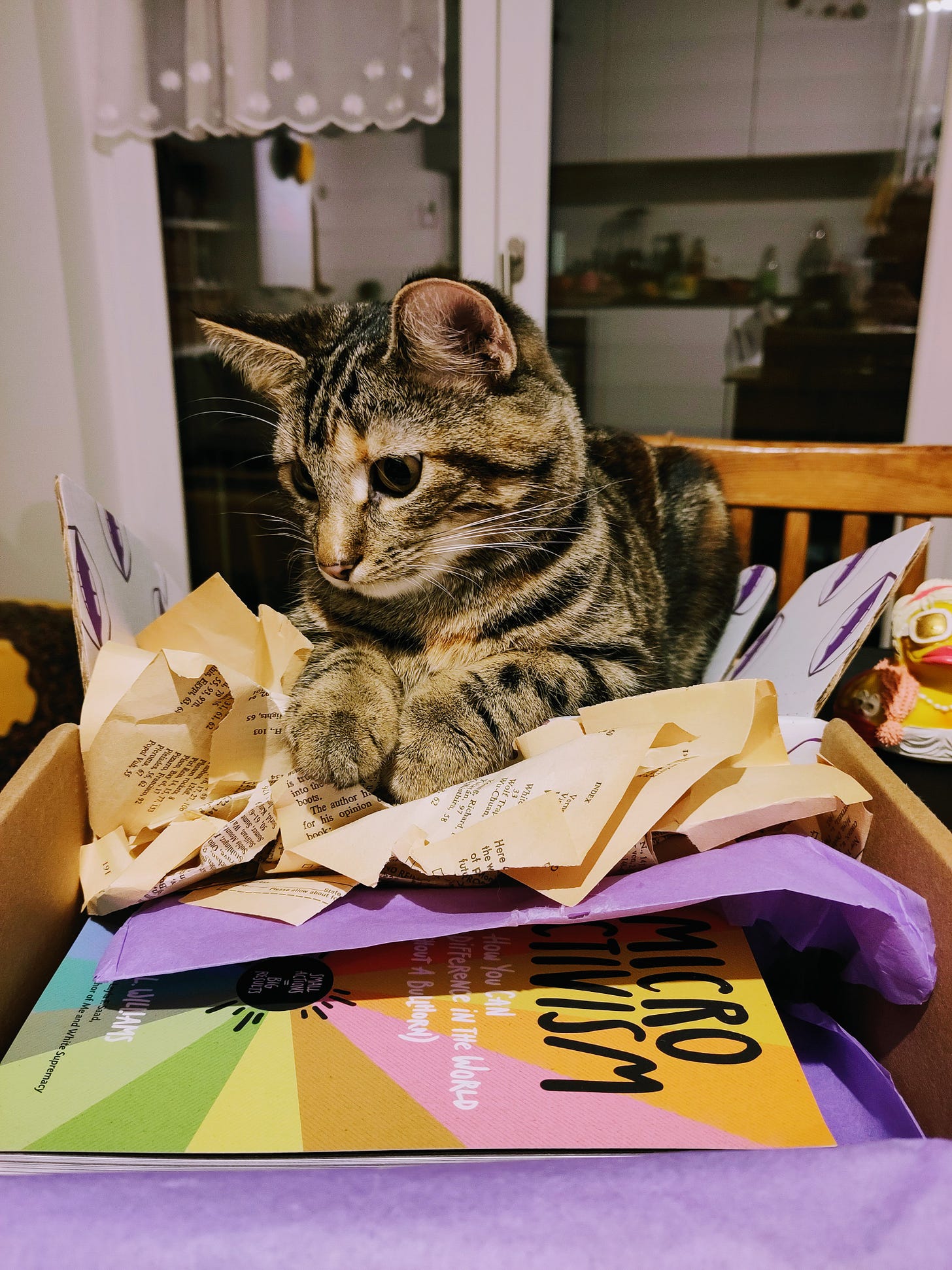 The photo shows the author's calico cat Luna, as she is sitting on an open package that contains shredded papers and the book Microactivism.